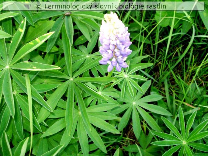 zlo�en� list 2