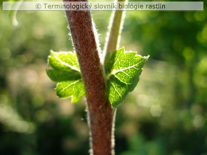 pr�listky &ndash; vo�n� 2