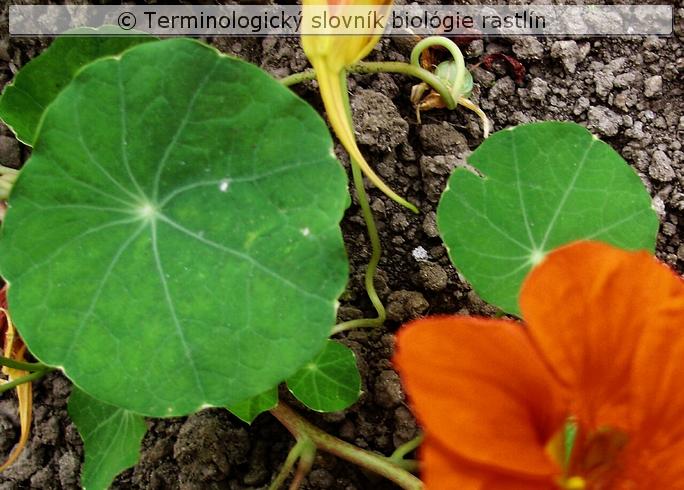 list &ndash; �t�tovit�