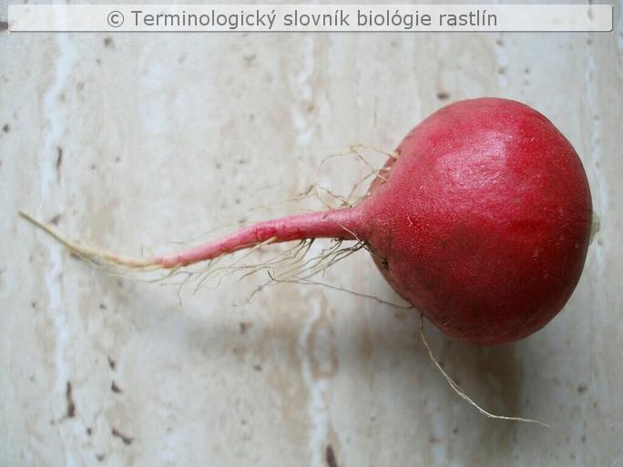 re�kovka