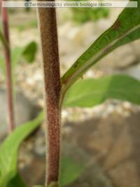 zbiehav� list 1b
