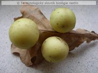 h�lka 1