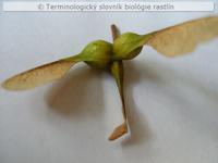 trojna�ka