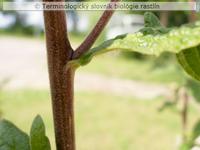 zbiehav� list 1a
