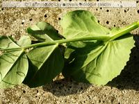 pr�listky &ndash; obj�mav� 2