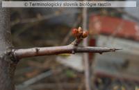 stonkov� t�� 3