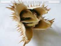 septic�dny 3