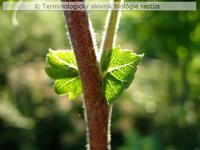 pr�listky &ndash; vo�n� 2