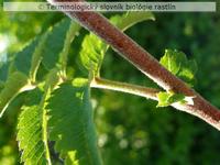 pr�listky &ndash; vo�n� 1