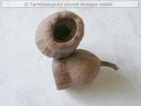 tobolka 6b