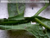 zbiehav� list 2b
