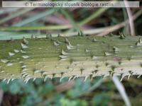 t�ne 1