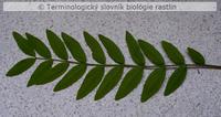 zlo�en� list 7
