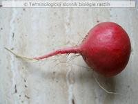 re�kovka