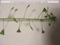 strapec 3a