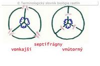 septifr�gny &ndash; sch�my