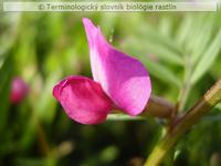 strie�ka 1